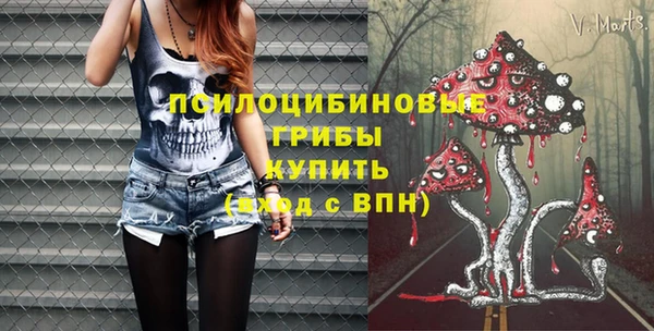 спайс Аркадак