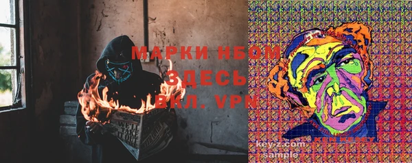 стаф Арсеньев