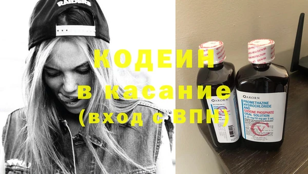 стаф Арсеньев
