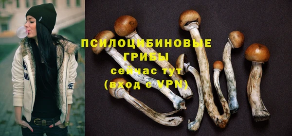 стаф Арсеньев