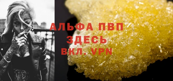 стаф Арсеньев