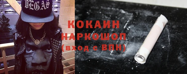 стаф Арсеньев