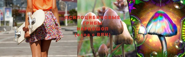 стаф Арсеньев